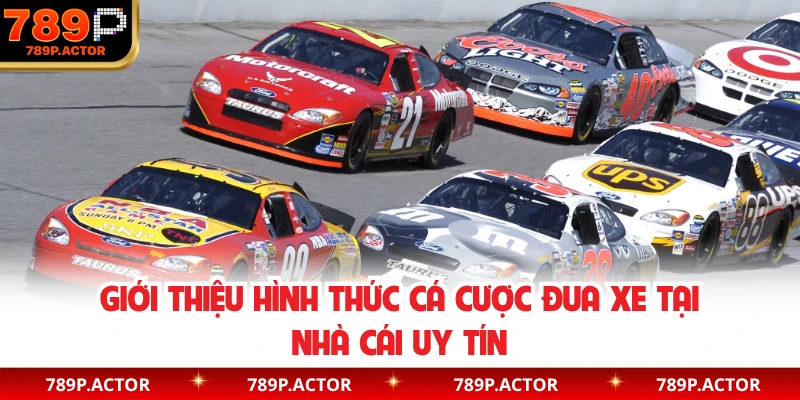 Giới thiệu hình thức cá cược đua xe tại nhà cái uy tín